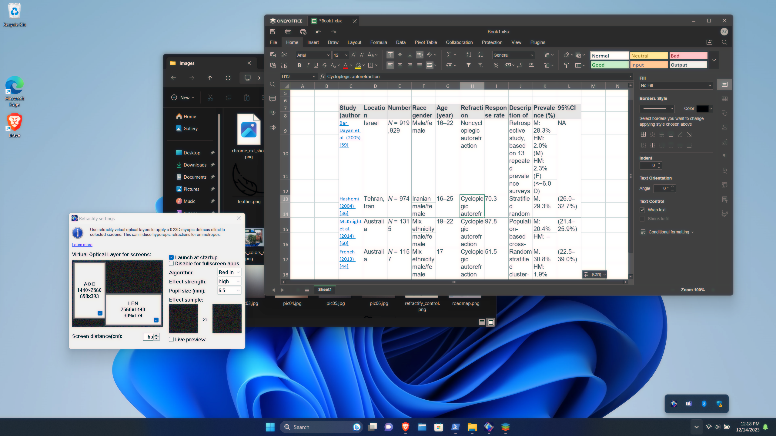 screenshot showing myopic blurred desktop
